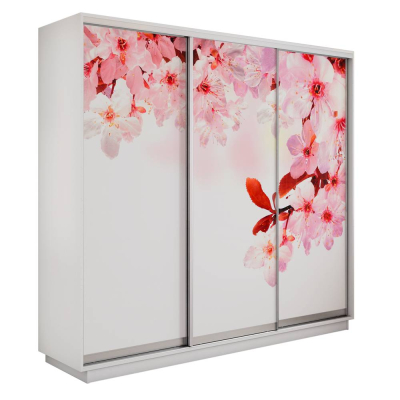 Экспресс 3-х дверный (Сакура)